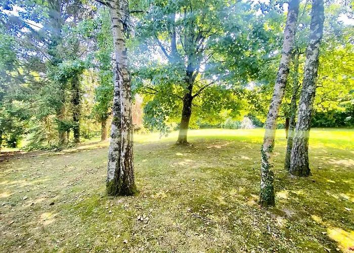 Nature Luxuriante, Jeux En Famille, Workation Et Sauna Pour 1 à 4 Personnes * Labosse