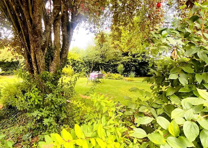 Nature Luxuriante, Jeux En Famille, Workation Et Sauna Pour 1 à 4 Personnes Labosse